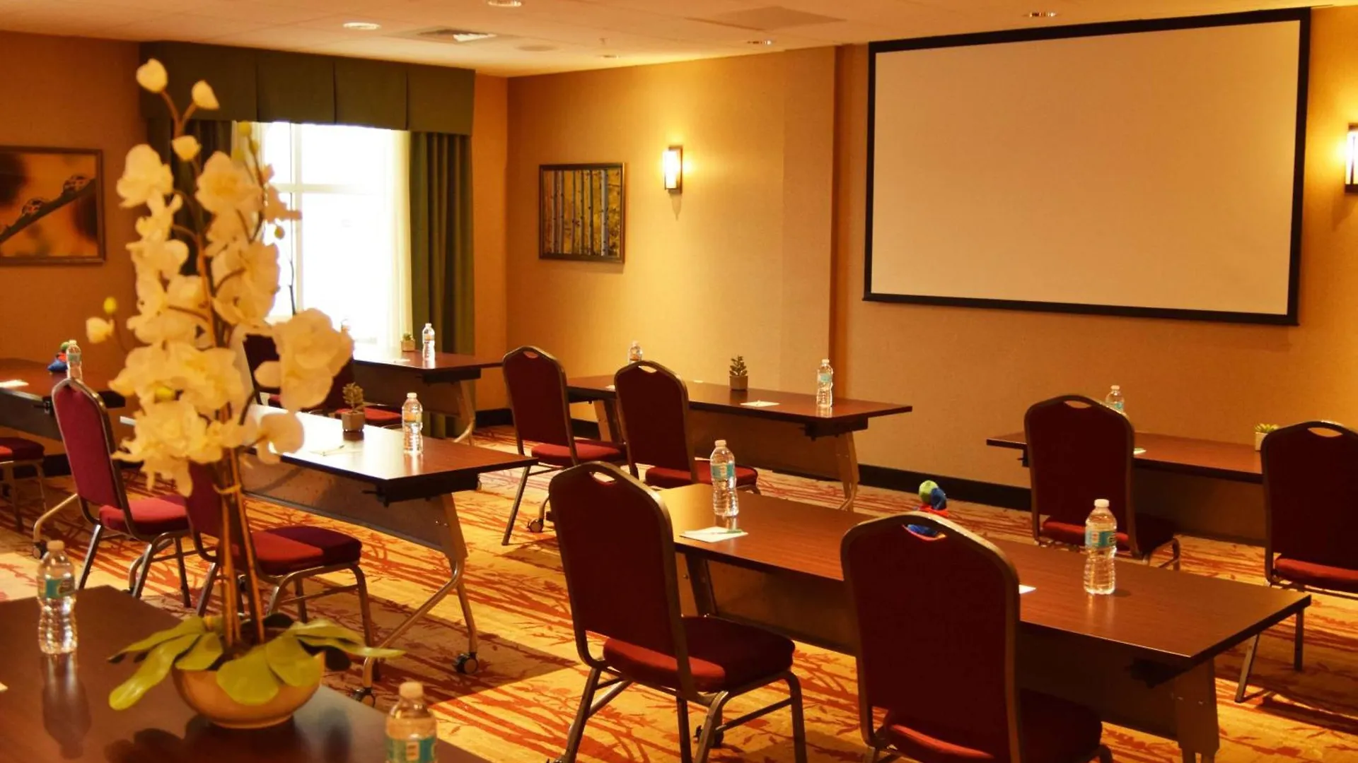 Homewood Suites By Hilton Charlotte Ballantyne, Nc 3*,  United States